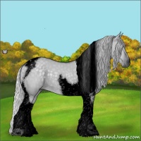 Horse Color:Void Silver Grullo Chinchilla Tobiano