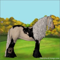 Horse Color:Void Silver Grullo Tobiano 