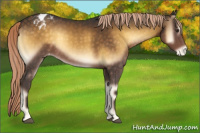 Horse Color:Chocolate Palomino Onyx Varnish 