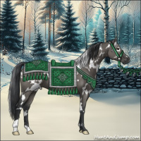 Horse Color:White Spotted Grullo 