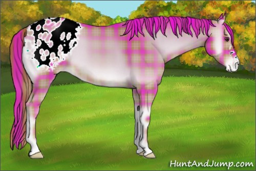 Horse Color:Watercolor Plaid  Red Onyx Appaloosa 