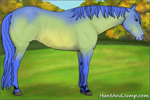Horse Color:Void Watercolor Chocolate Brown Sabino Varnish Rabicano 