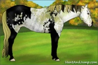 Horse Color:Void Watercolor Red Onyx Ice Tobiano Appaloosa Rabicano