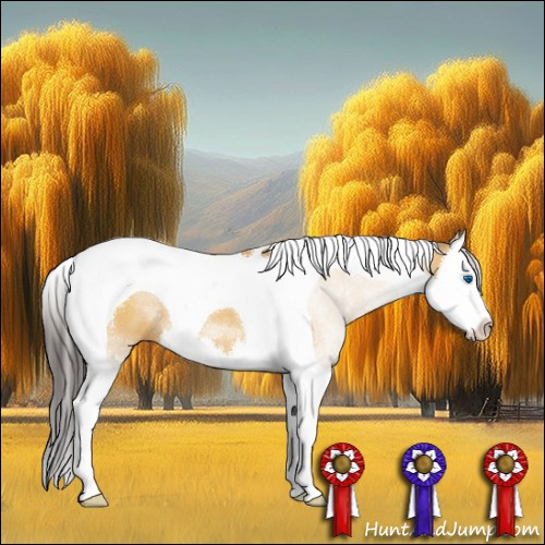 Horse Color:Buckskin Dun Sabino Splash Tobiano