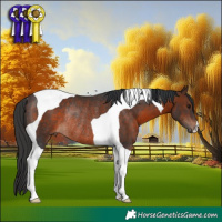 Horse Color:Brown Tobiano Rabicano
