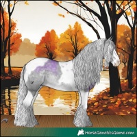 Horse Color:Silver Brown Chinchilla Dun Splash Tobiano 