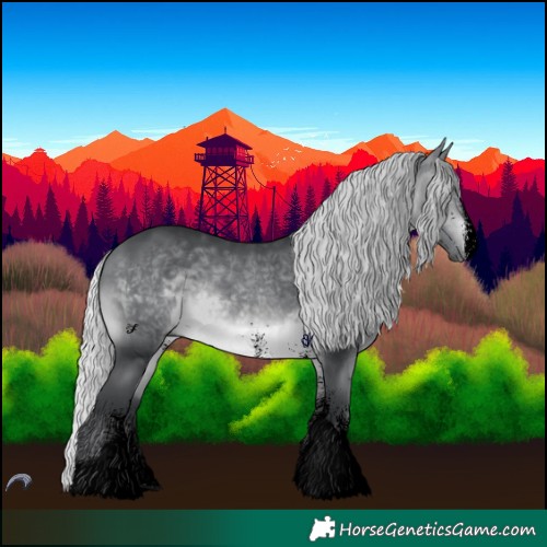 Horse Color:Void White Spotted Silver Brown Chinchilla Tobiano 