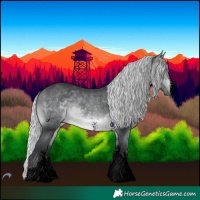 Horse Color:Void White Spotted Silver Brown Chinchilla Tobiano 