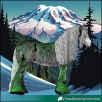 Horse Color:Void White Spotted Silver Brown Chinchilla Roan 