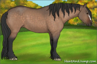 Horse Color:Brown Dun 