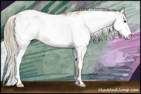 Horse Color:Red Dun Sabino 