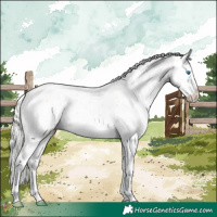 Horse Color:White Spotted Silver Classic Champagne Splash Appaloosa 