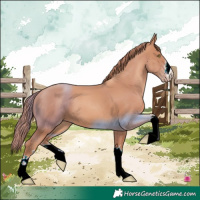Horse Color:White Spotted Gold Champagne 