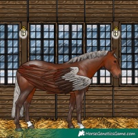 Horse Color:Silver Brown 