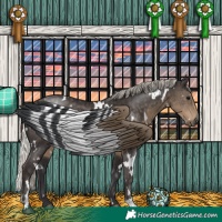 Horse Color:White Spotted Silver Smoky Black