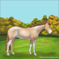 Horse Color:Smoky Black Pearl Sabino 