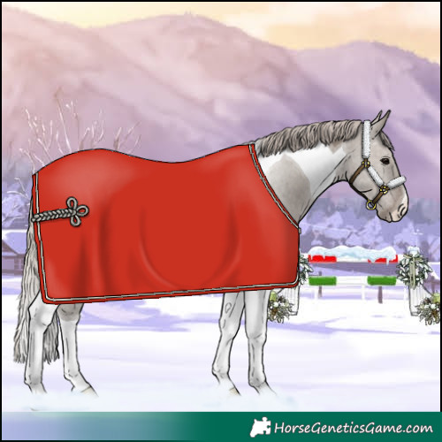 Horse Color:Silver Grullo Tobiano
