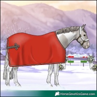 Horse Color:Silver Grullo Tobiano