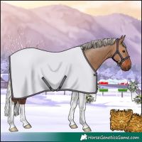 Horse Color:Silver Brown Dun Tobiano 
