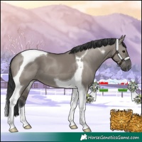 Horse Color:Grullo Tobiano 
