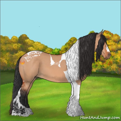 Horse Color:Bay Dun Tobiano 