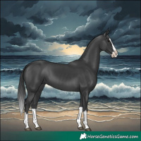 Horse Color:Black Splash 