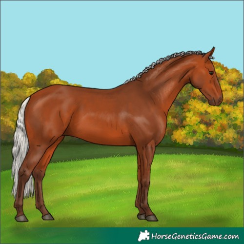 Horse Color:Silver Bay