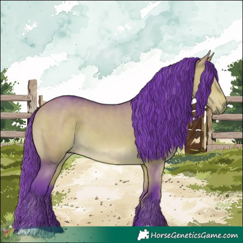 Horse Color:Watercolor Bay Dun 