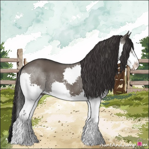 Horse Color:Smoky Grullo Sabino Splash 
