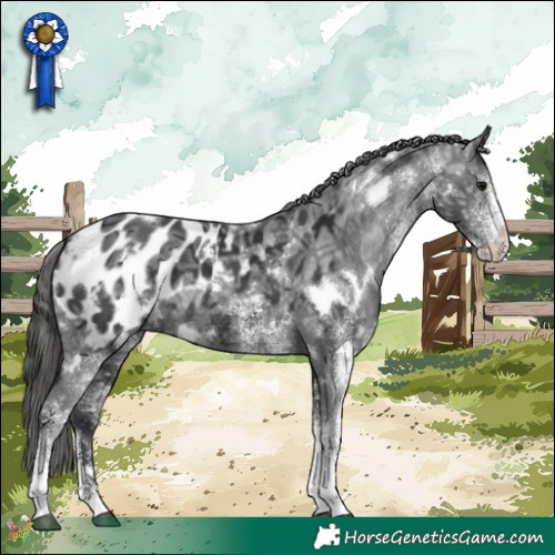 Horse Color:White Spotted Black Ice Appaloosa Rabicano 
