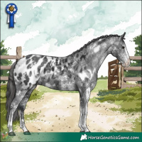 Horse Color:White Spotted Black Ice Appaloosa Rabicano 