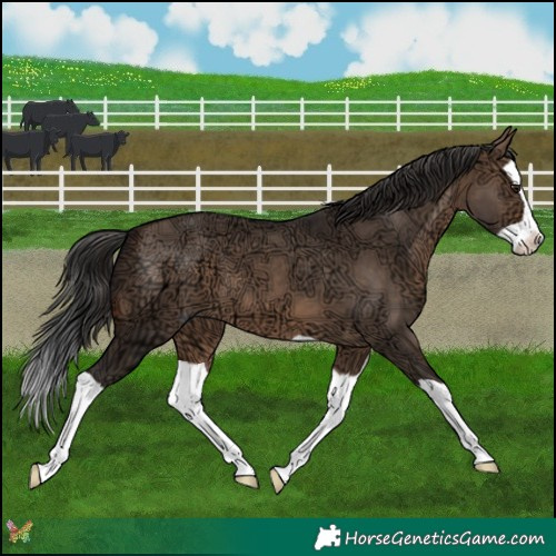 Horse Color:Brown Ice Dun Splash 