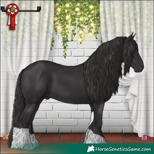 Horse Color:Smoky Black Tobiano 