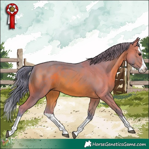 Horse Color:Watercolor Brown Splash 