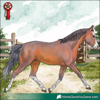 Horse Color:Watercolor Brown Splash 