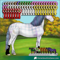 Horse Color:ERROR: UNKNOWN ANOMALY