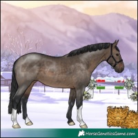 Horse Color:Brown Dun 