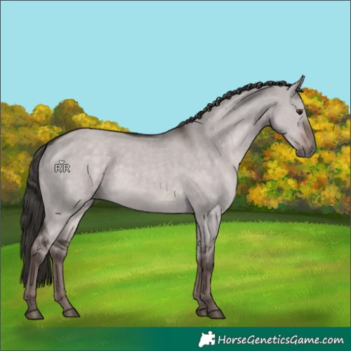 Horse Color:Platinum Liver Red Dun