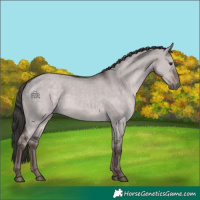 Horse Color:Platinum Liver Red Dun