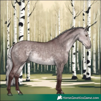 Horse Color:Platinum Chocolate Silver Buckskin Dun 