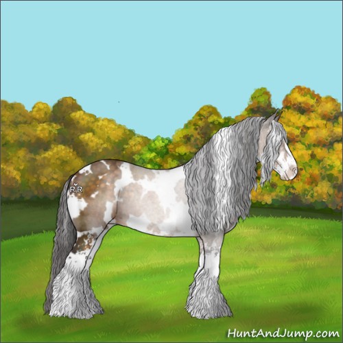 Horse Color:White Spotted Buckskin Sabino 