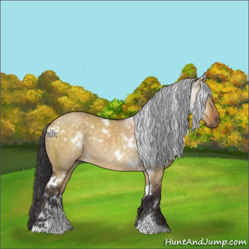 Horse Color:White Spotted Buckskin Dun Sabino Rabicano