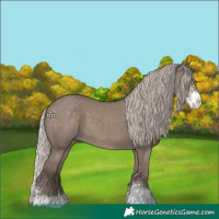 Horse Color:Silver Grullo Sabino