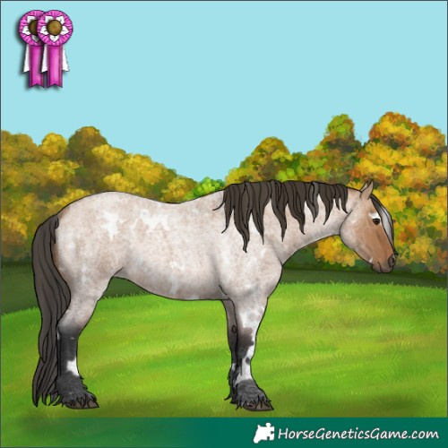 Horse Color:White Spotted Brown Roan Dun Rabicano 