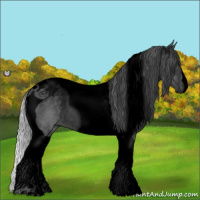 Horse Color:Void Silver Grullo Chinchilla Tobiano 