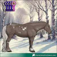 Horse Color:White Spotted Silver Black Tobiano 