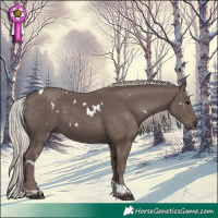 Horse Color:White Spotted Silver Black Tobiano