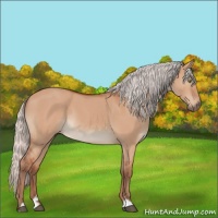 Horse Color:Silver Bay Dun Mushroom Sabino Rabicano
