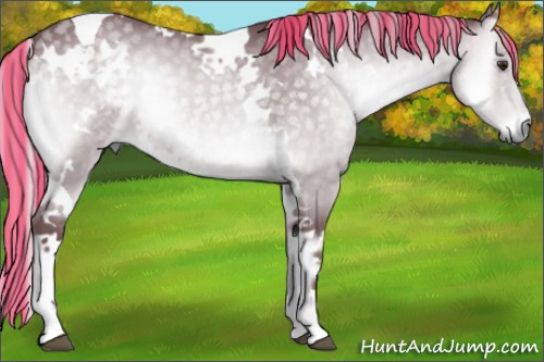 Horse Color:Painted White Spotted Chocolate Silver Blue Onyx Chinchilla Tobiano 