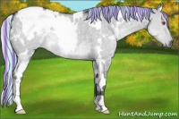 Horse Color:Painted White Spotted Silver Grullo Chinchilla Rabicano 